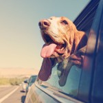 traveling Olympia, WA