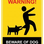 How to Avoid a Dog Bite Claim in Olympia, WA