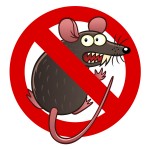 Prevent Rodent Damage in Olympia, WA