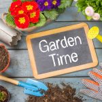 How to prepare a home garden in Olympia, WA