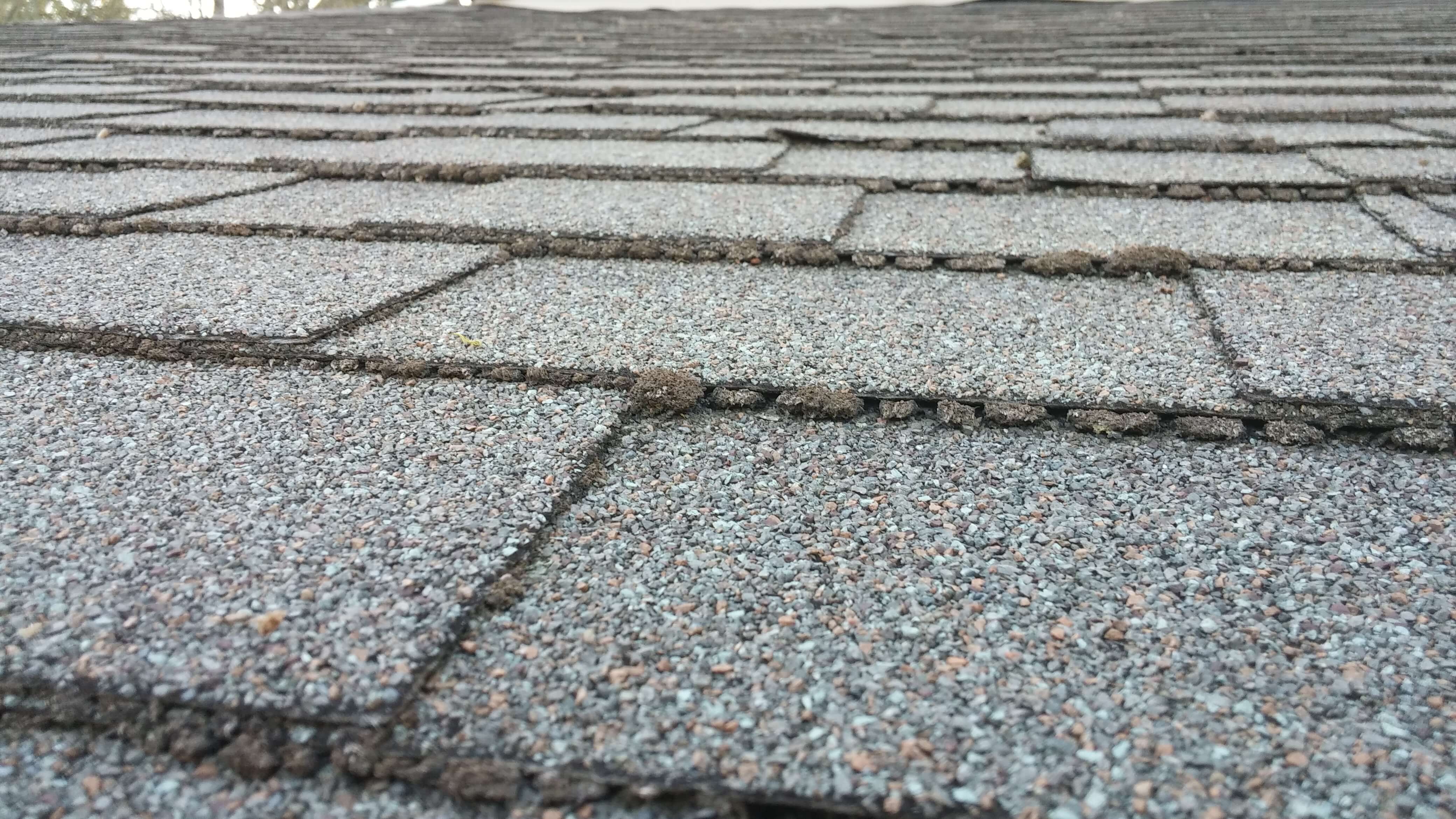 How to inspect your roof for damage in Olympia, WA