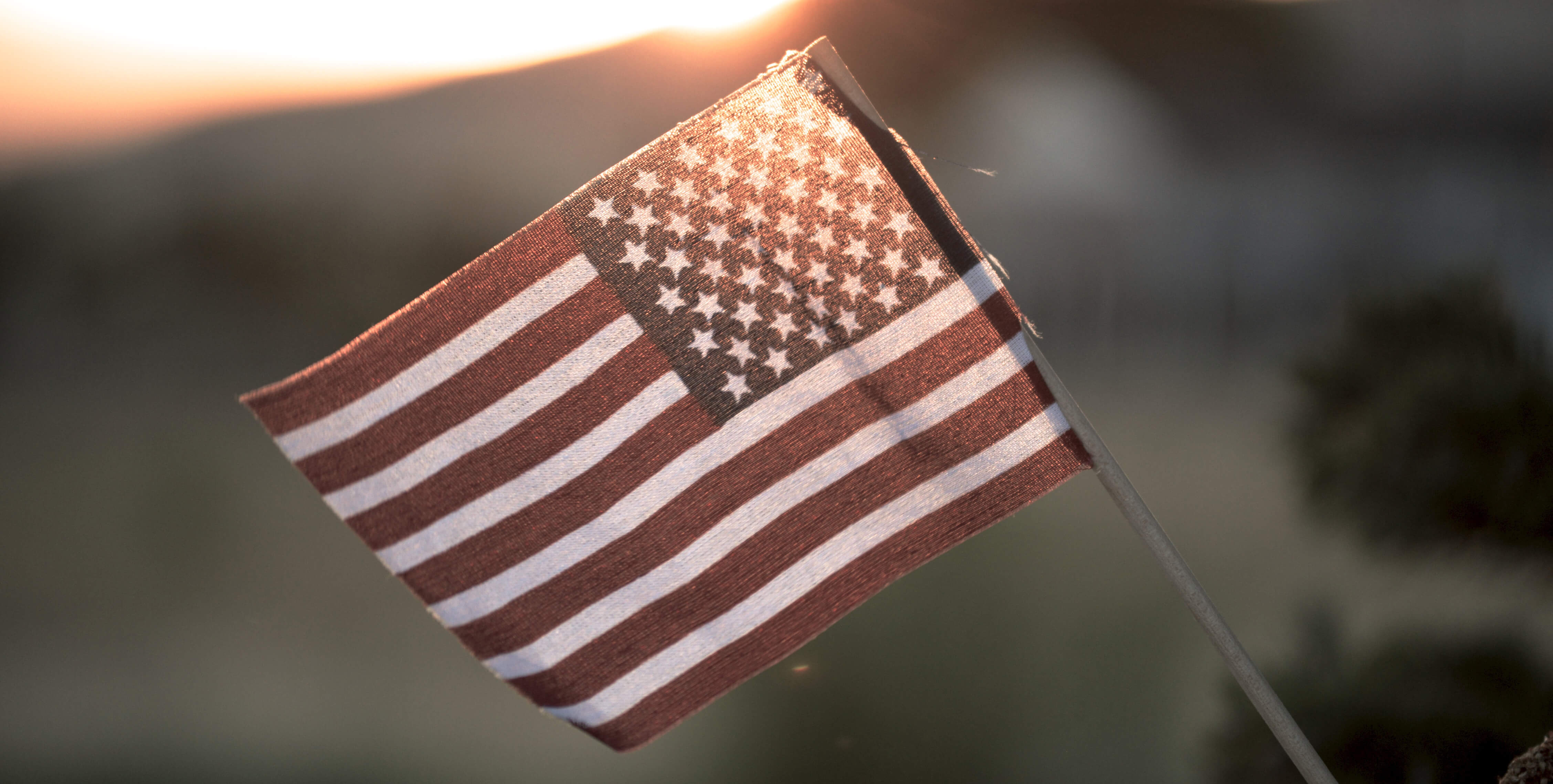 Firework Safety in Olympia, WA