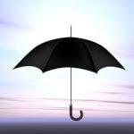 Umbrella Insurance in Olympia, WA