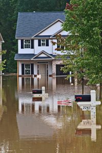 Flood insurance in Olympia, WA