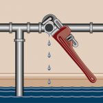 How to prevent water leaks in your Olympia, WA home