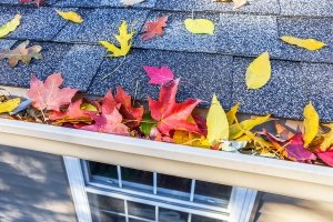 Fall Home Maintenance Checklist for your Olympia, WA home