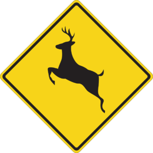 Yellow warning road sign indicating deer