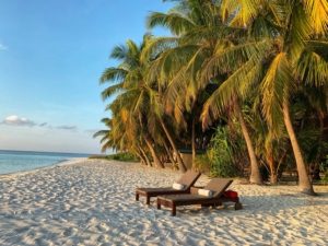 A photo of a sandy beach with palm trees and two lounge chairs
