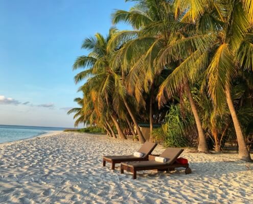 A photo of a sandy beach with palm trees and two lounge chairs