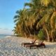 A photo of a sandy beach with palm trees and two lounge chairs