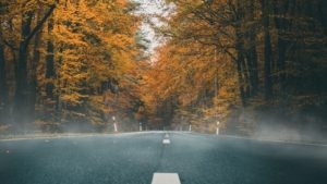 A photo of an empty road with fall colored trees in the background