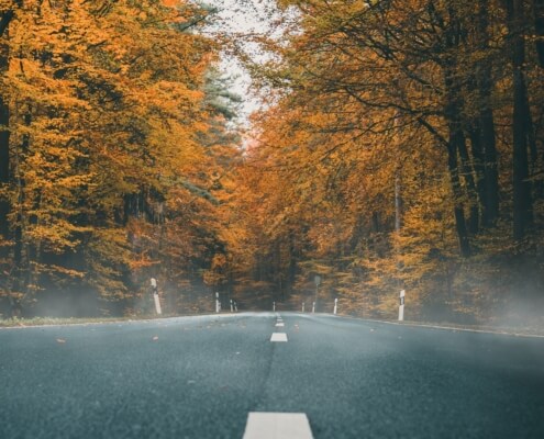 A photo of an empty road with fall colored trees in the background