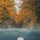 A photo of an empty road with fall colored trees in the background