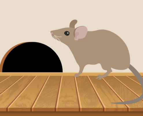 Cartoon of a mouse inside a house